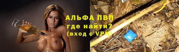 соль ск Тавда