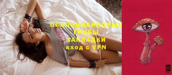 твердый Строитель