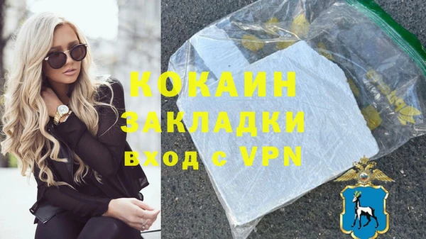 соль ск Тавда