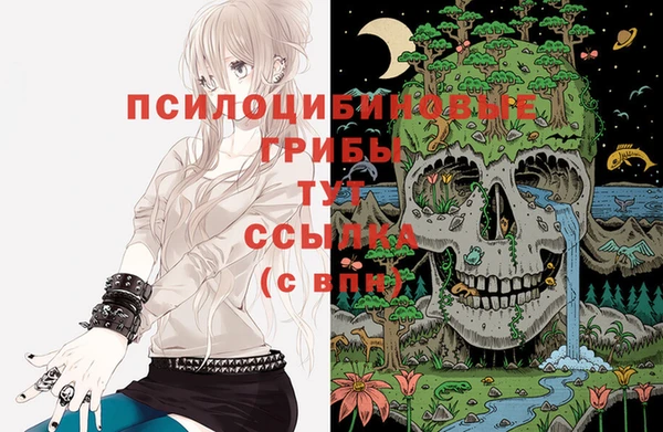 гидропоника Сясьстрой