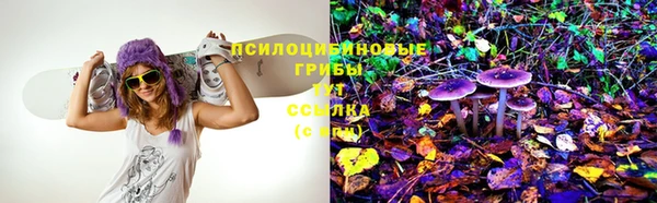 ECSTASY Сосновый Бор