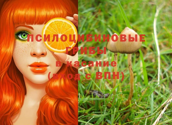 гидропоника Сясьстрой