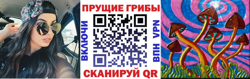 Галлюциногенные грибы мухоморы  Чегем 